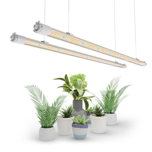 VG80 – 80W OSRAM LED Auginimo Lempa Sėjinukams ir Vegetacijai